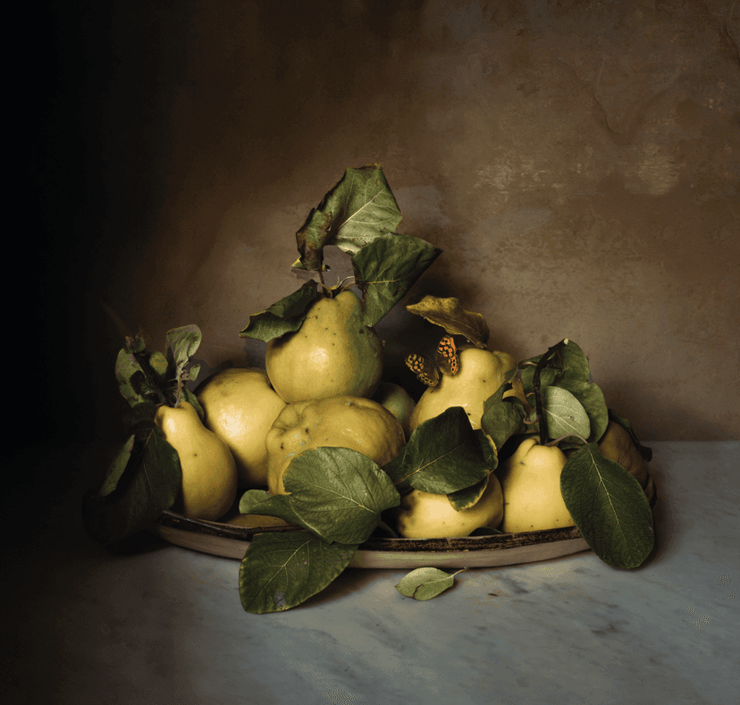 Jamie Beck's artwork for Autumn 24