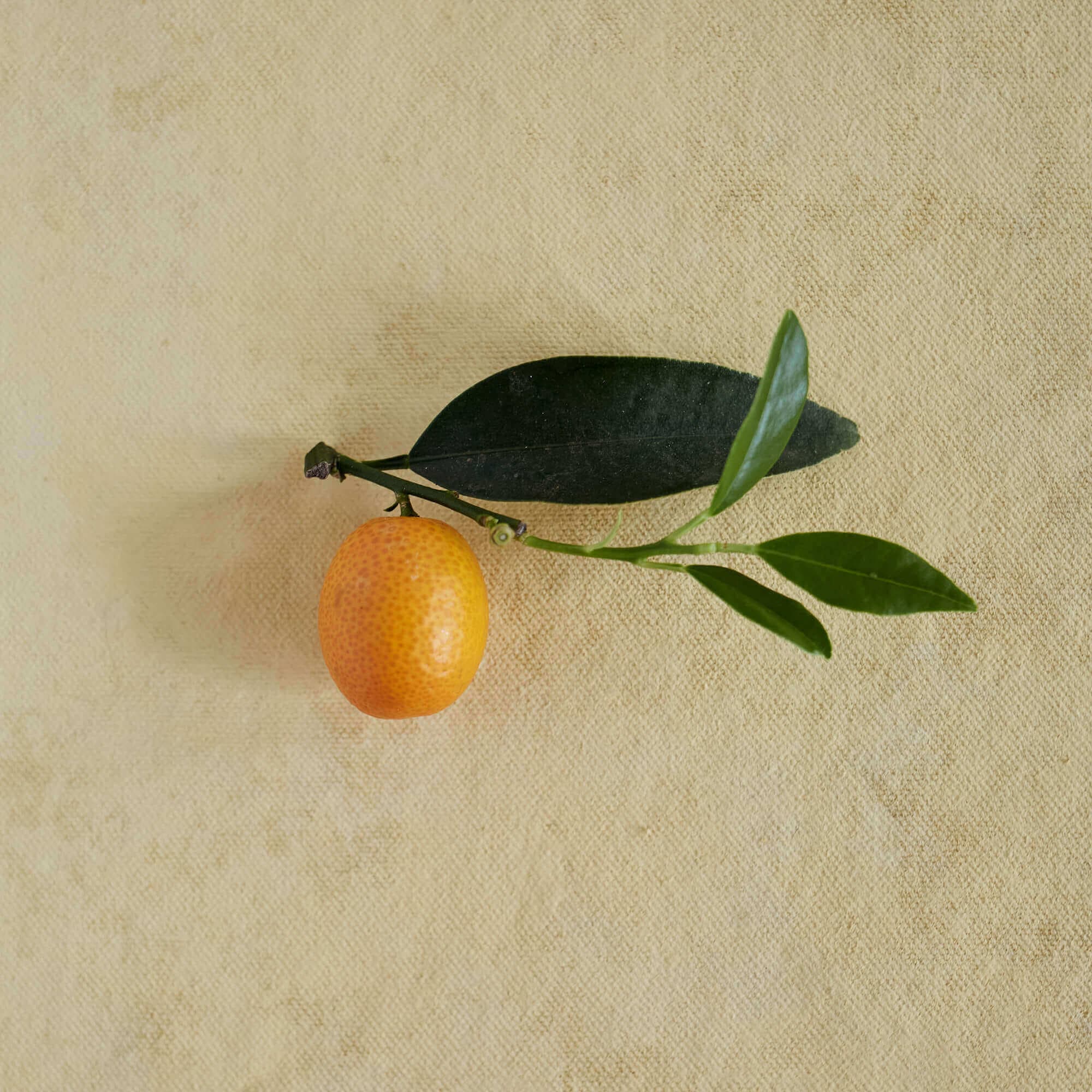 Kumquat rind