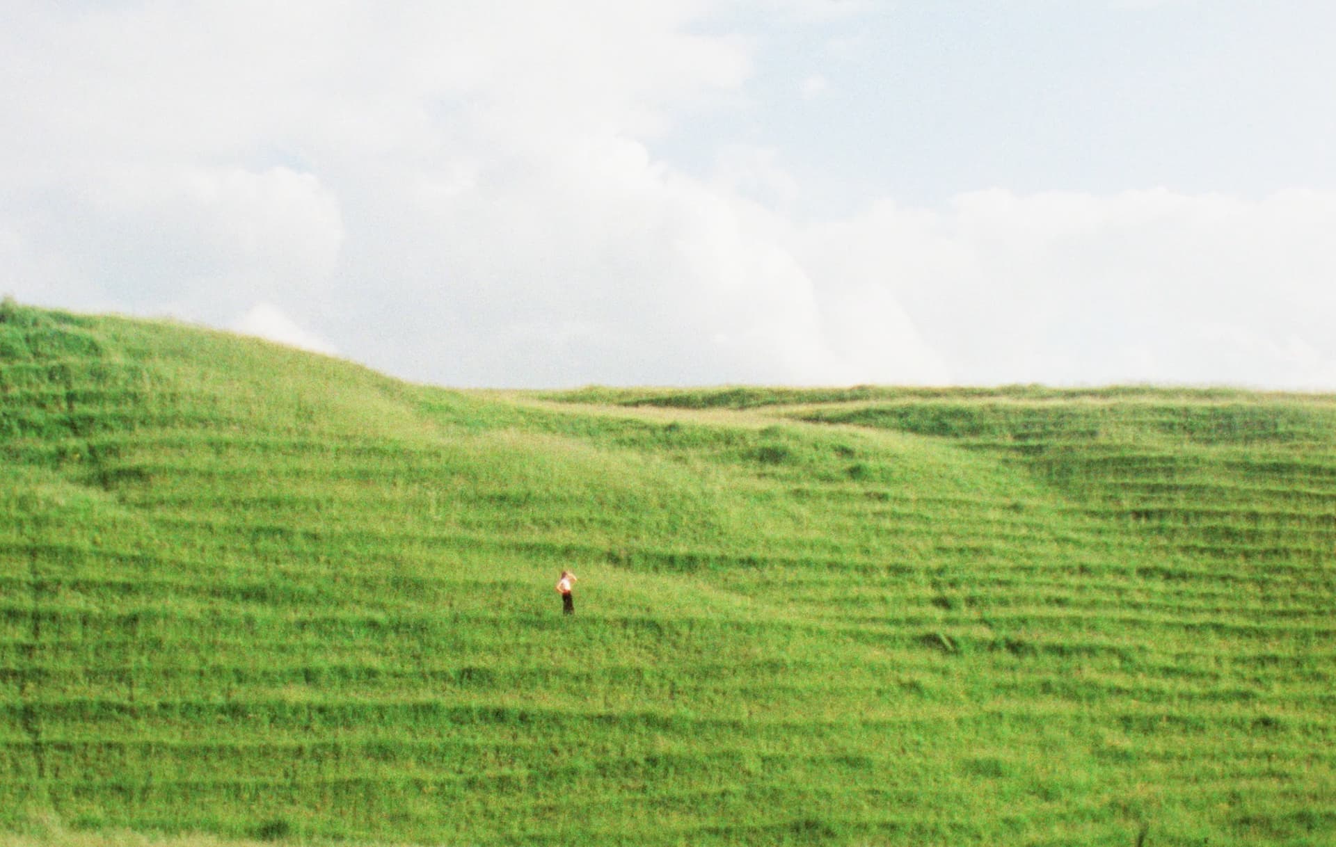 Ffern Artist Nicola Yeoman on a green Suffolk hillside.jpg