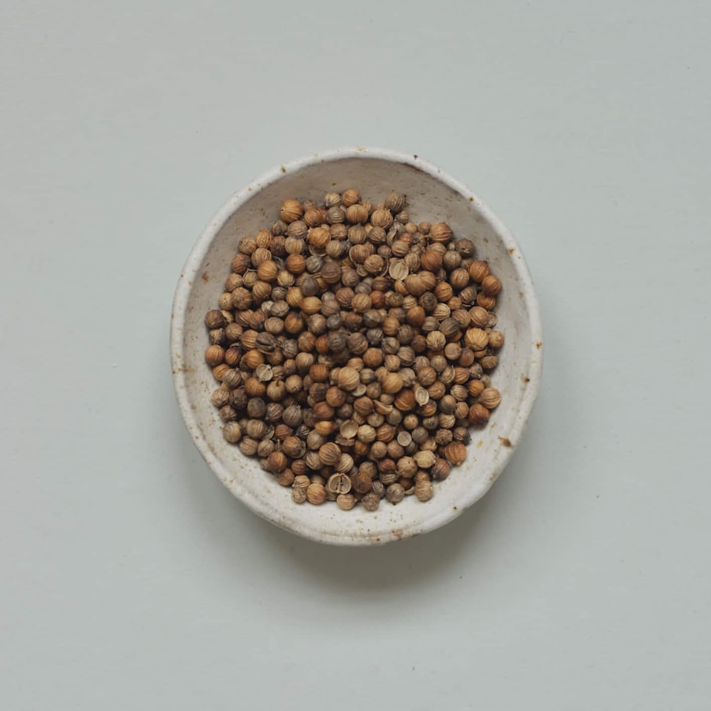 Coriander seed