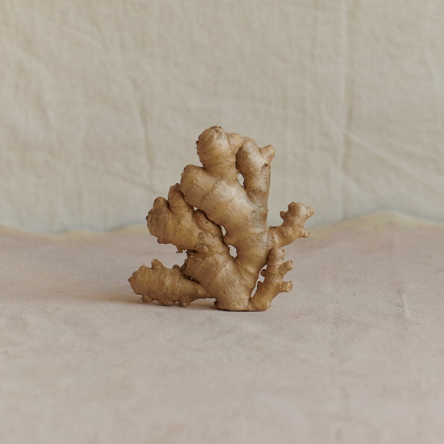 Ginger root