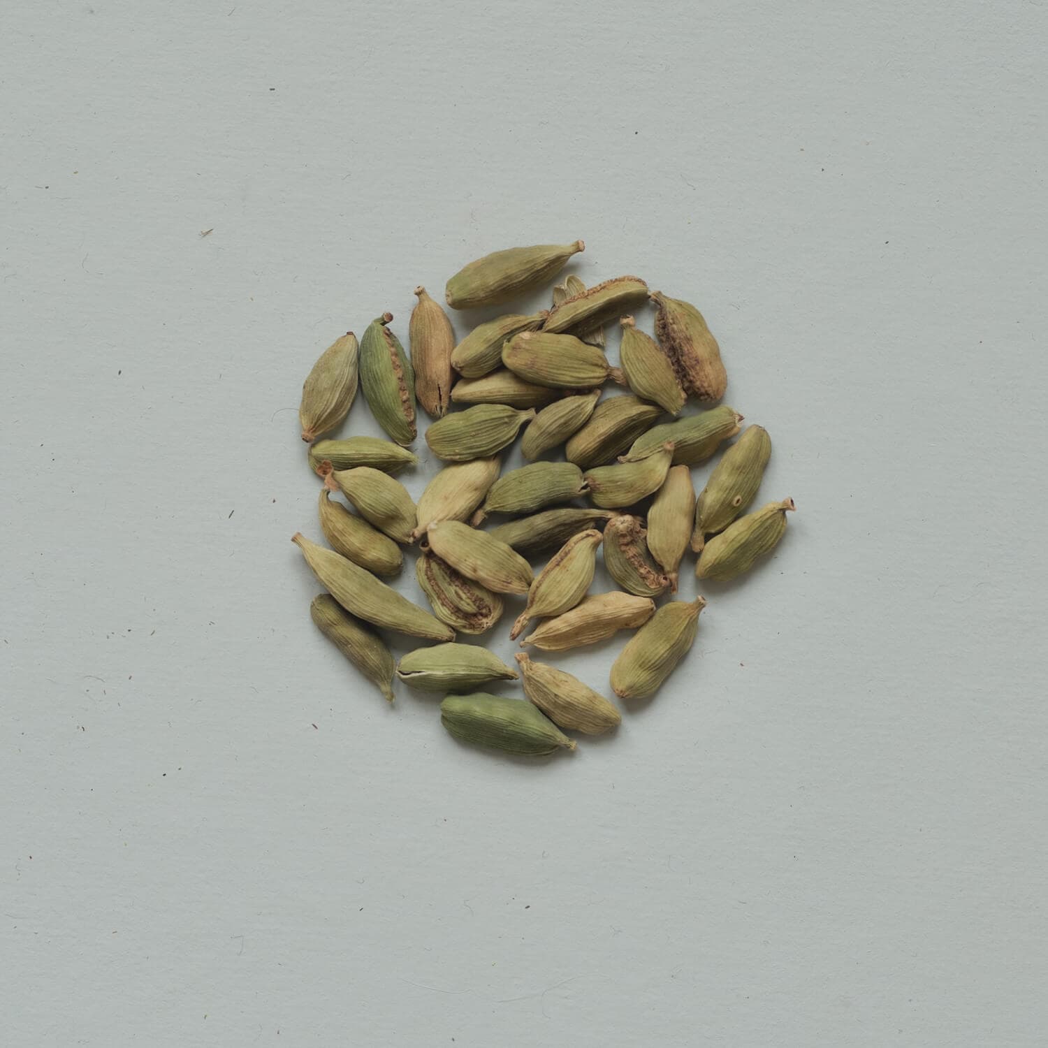 Cardamom seed