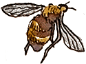 bzzzz
