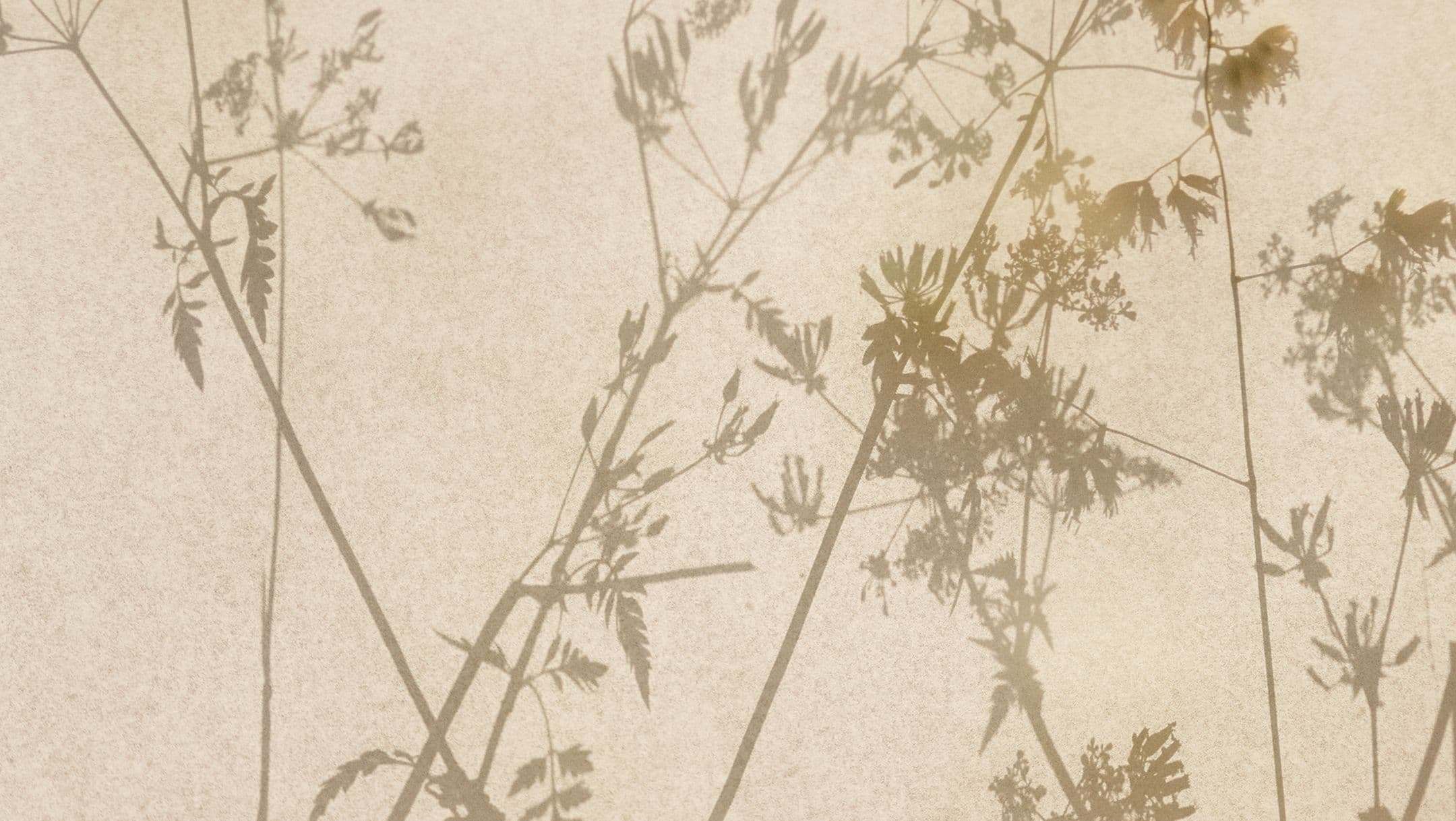 Sustainability at Ffern