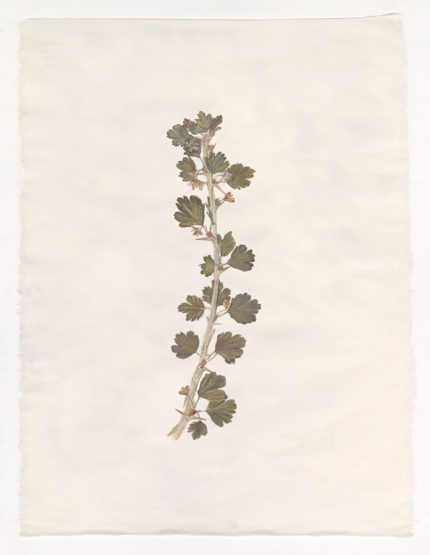 Each season, we invite a new artist we admire to respond to our latest fragrance.