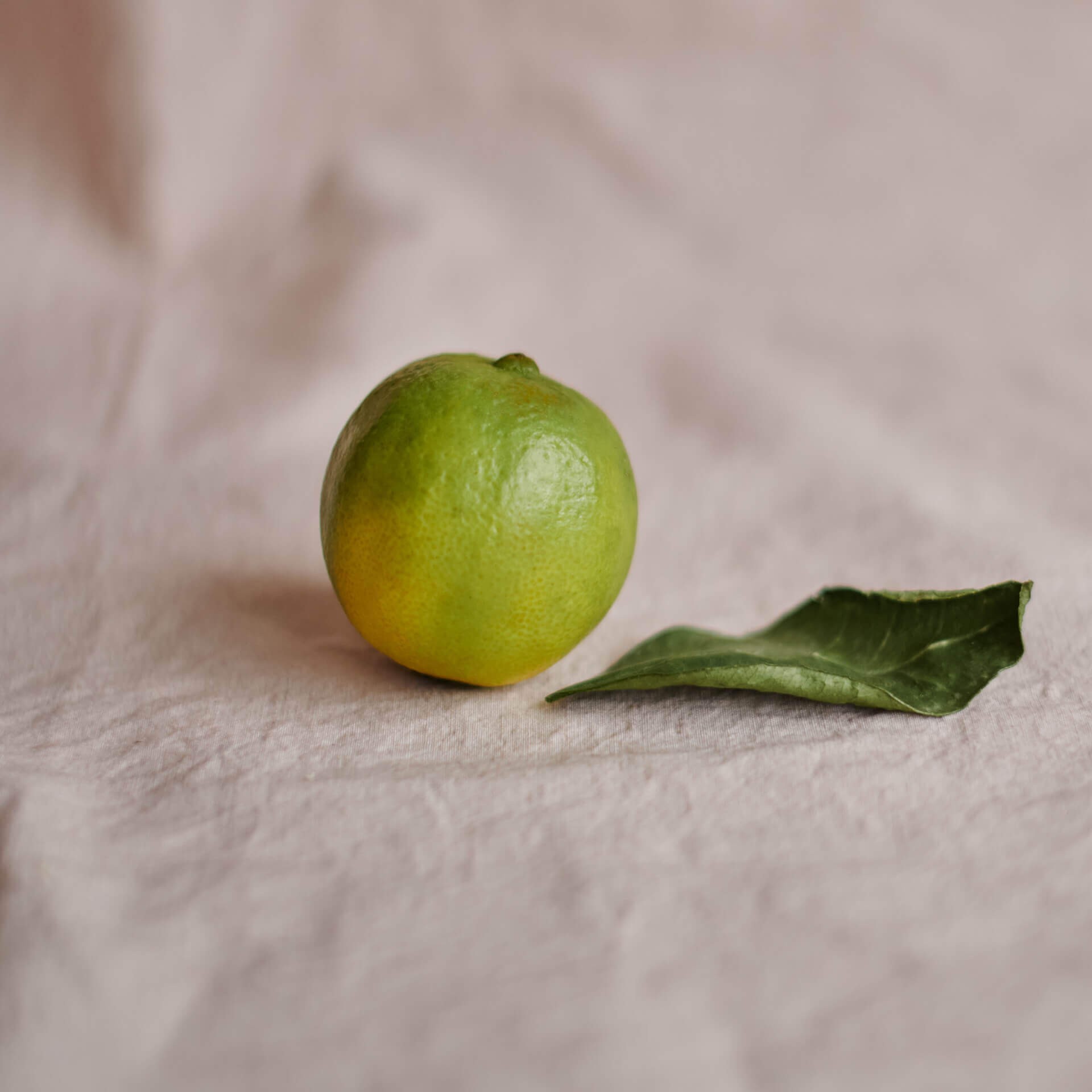 Organic Green mandarin rind, Ffern perfumery ingredient